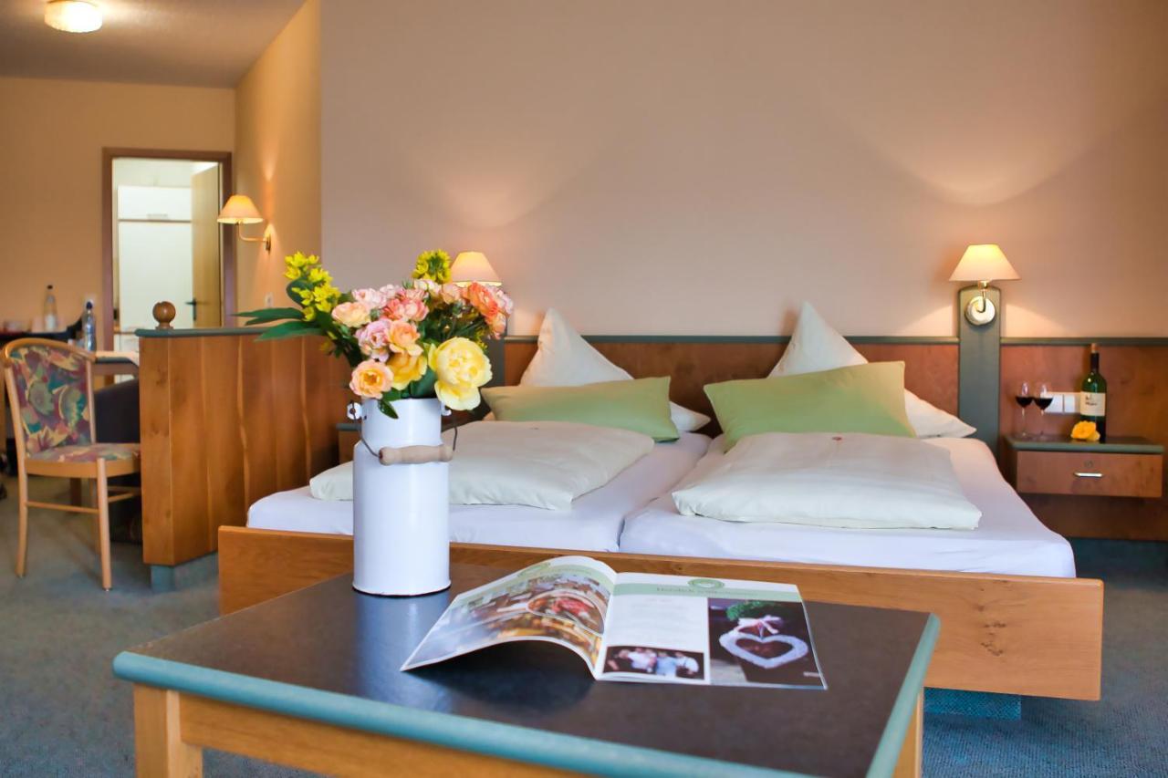 Landhotel Henkenhof Willingen ヴィリンゲン エクステリア 写真