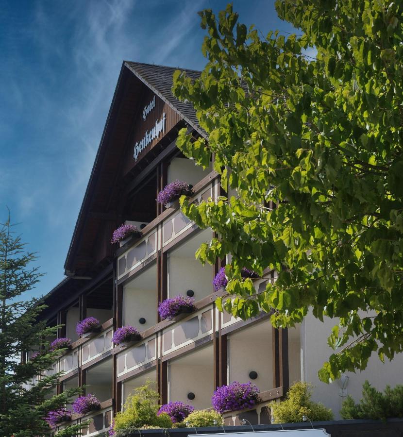 Landhotel Henkenhof Willingen ヴィリンゲン エクステリア 写真