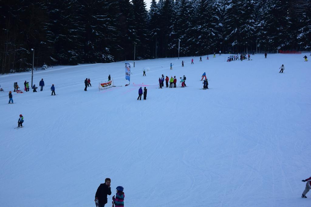 Landhotel Henkenhof Willingen ヴィリンゲン エクステリア 写真