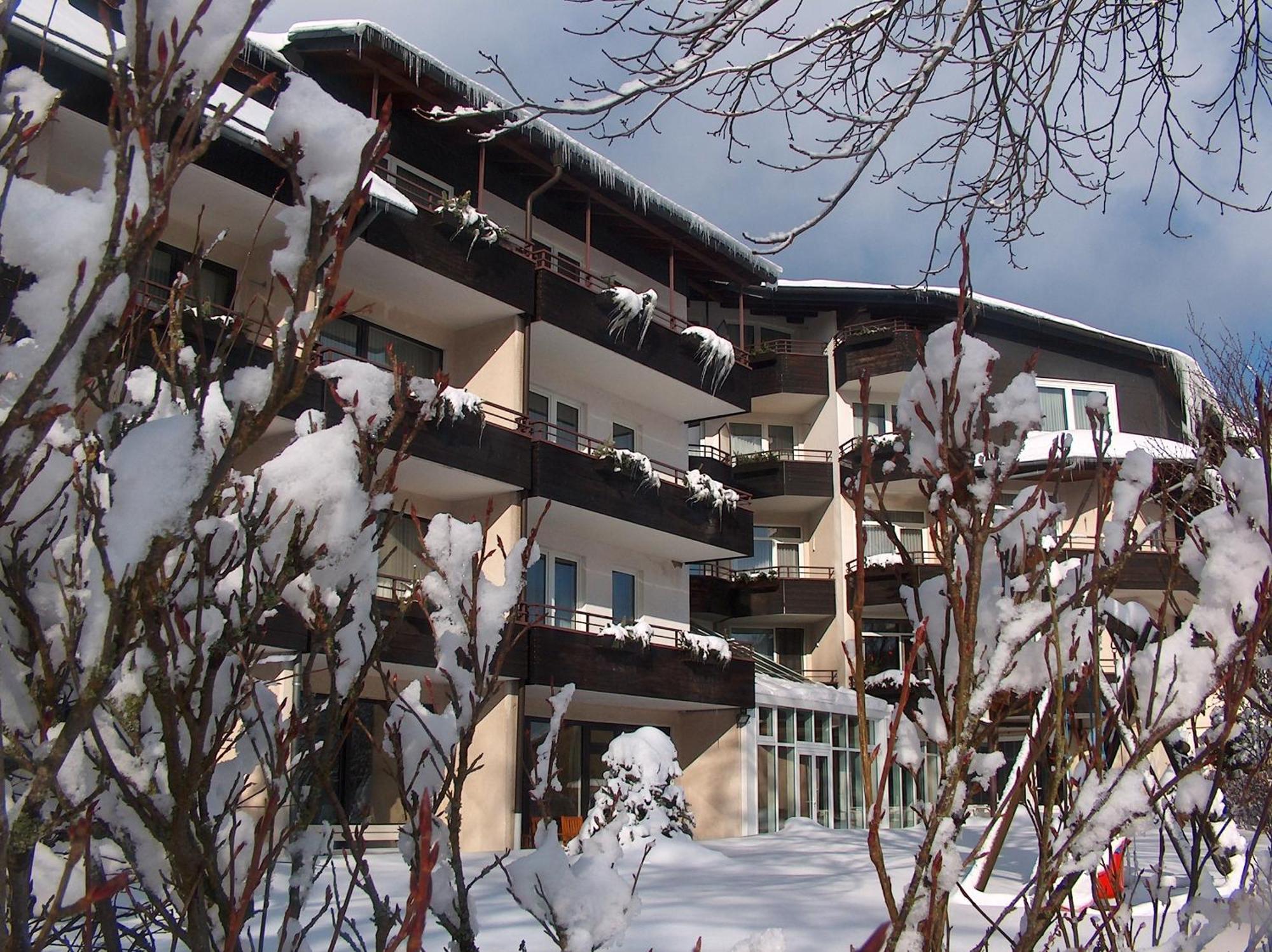 Landhotel Henkenhof Willingen ヴィリンゲン エクステリア 写真