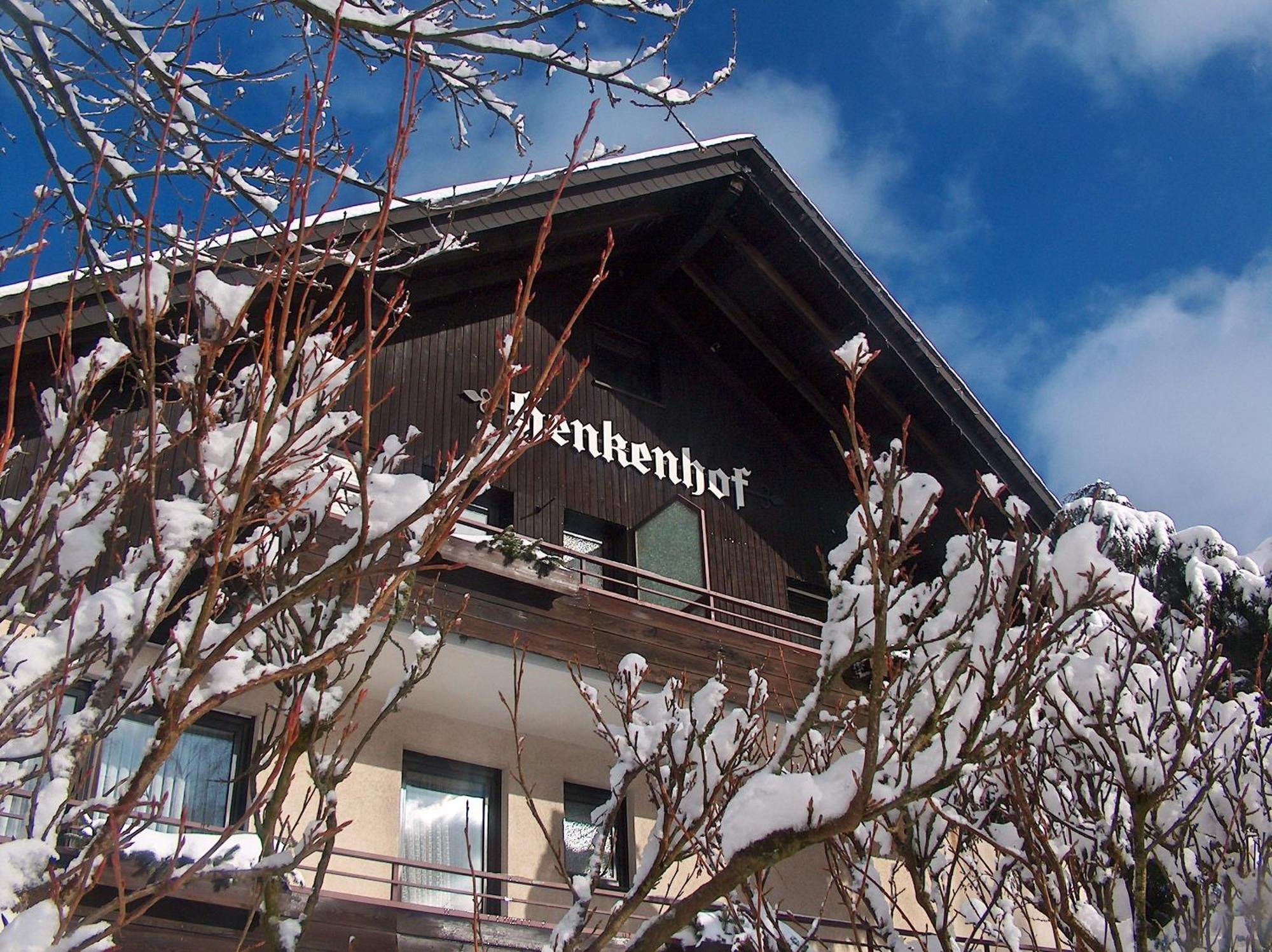 Landhotel Henkenhof Willingen ヴィリンゲン エクステリア 写真